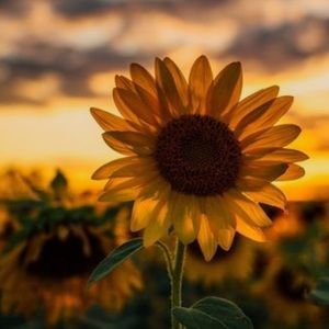 Meet your Posher, Briana